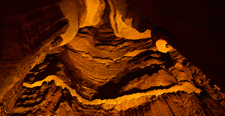 advantages and disadvantages of tobacco Spring 2020 Newsletter — 1-866-NEW-LUNG